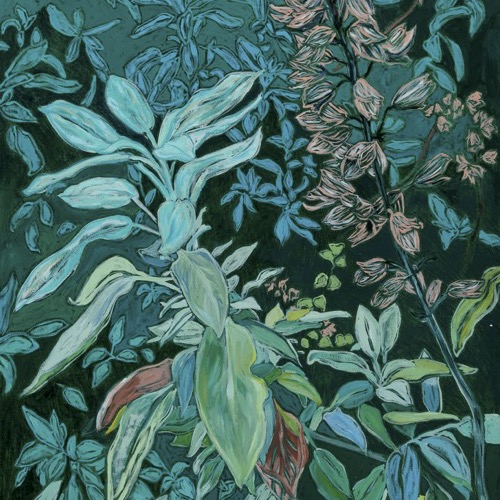 Sage Flowers, 2020, oil on linen, 50x70cm 