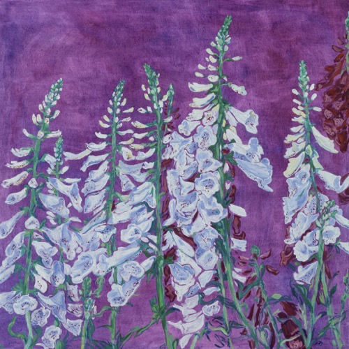 Foxgloves, 2021, oil on linen, 70x70cm