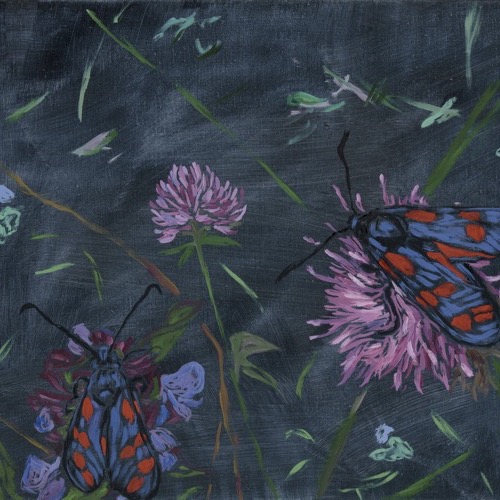 Six-Spot Burnet I (two clover flowers), 2021, oil on linen, 30 x 40cm