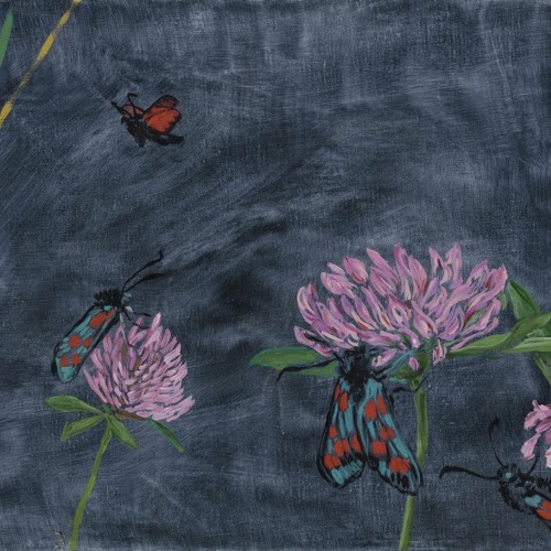 Six-Spot Burnet II (three clover flowers)m 2021, oil on linen, 30 x 40cm