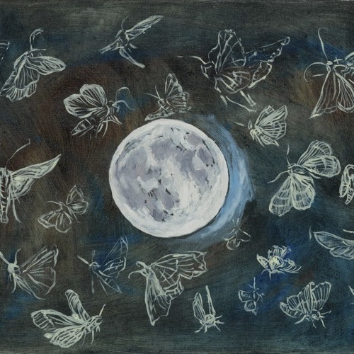 Medianoche - Moths & Moon, 2021, oil on linen, 30 x 40cm