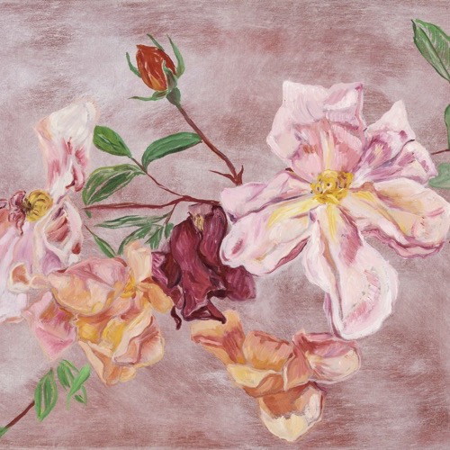 Wild Roses III, 2021, oil on linen, 35 x 45cm