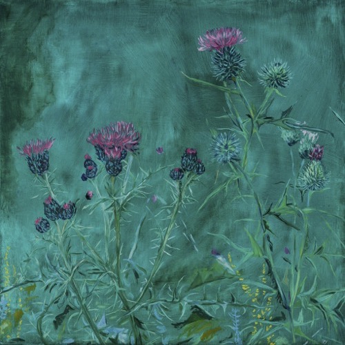 Thistles, 2021, oil on linen, 60 x 60cm