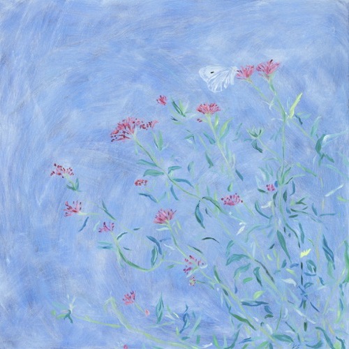 Valerian with Butterfly, 2021, oil on linen, 60x60cm