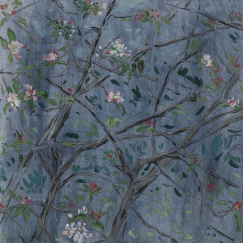 Apple Blossom, 2022, oil on canvas, 45x45cm