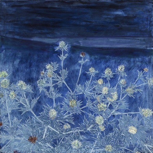 Sea Holly III, 2021, oil on linen, 60x60cm