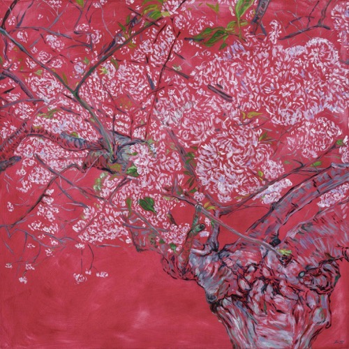 The Old Cherry Tree - study, 2023, oil on linen, 70x70cm