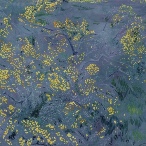 The Gorse Hillside, 2022, oil on linen, 40x60cm