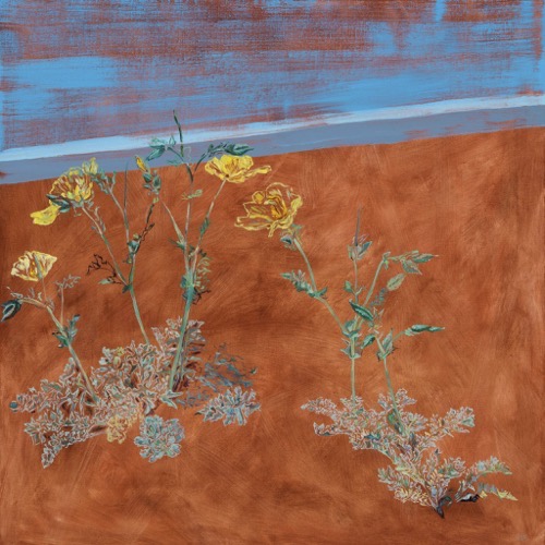 Sea Poppies, 2021